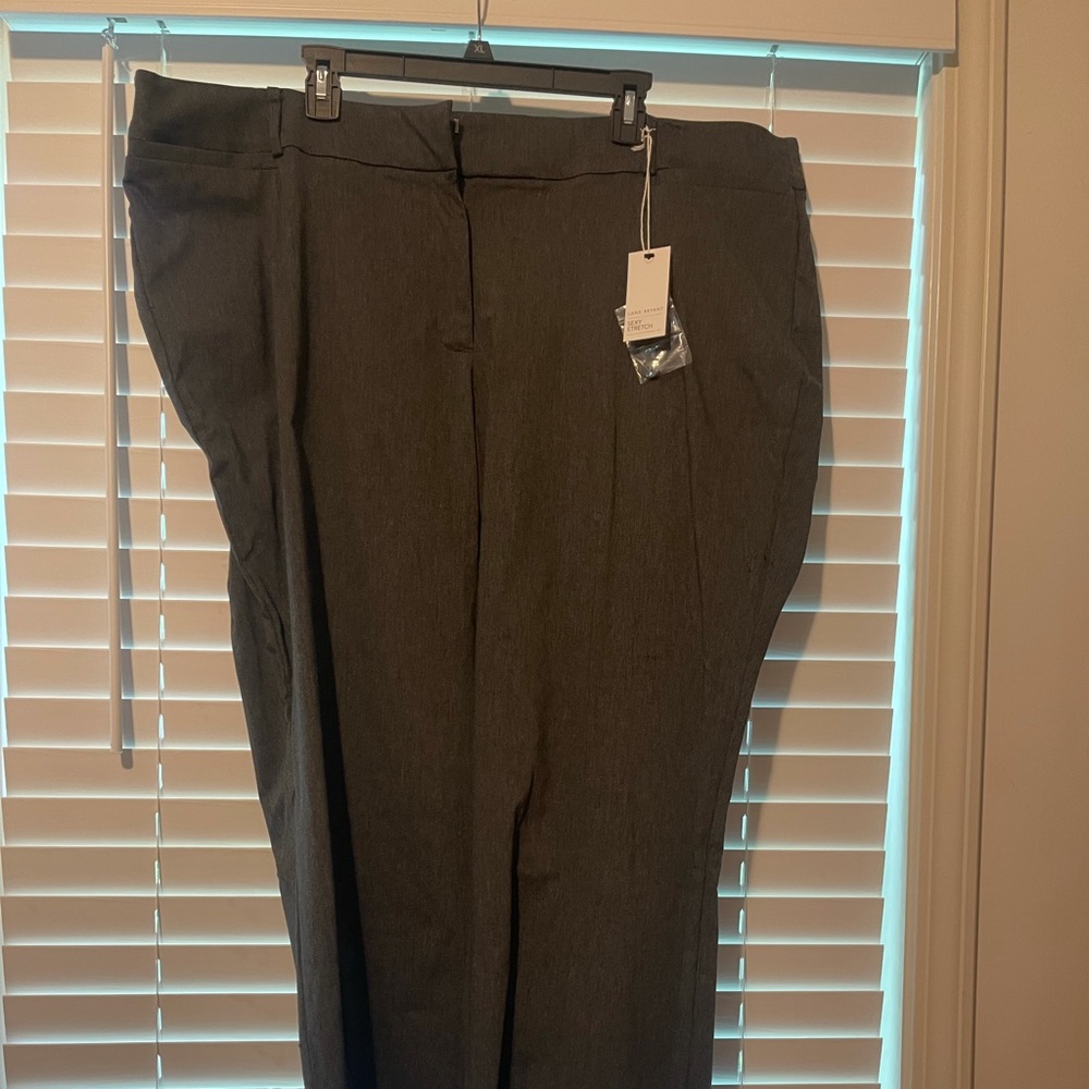 Brand new with tags. Lame Bryant Allie Pant